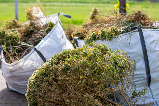 Best Furniture Removal Near Me  in Aitkin, MN